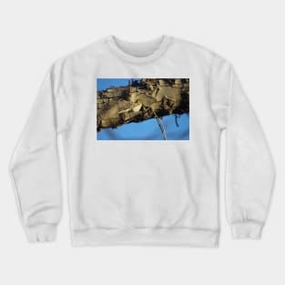 Little Verdin 1 Crewneck Sweatshirt